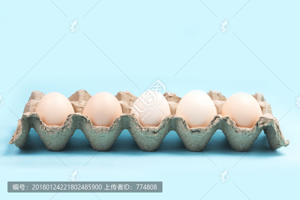 雞蛋