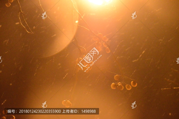 雪夜下的路燈