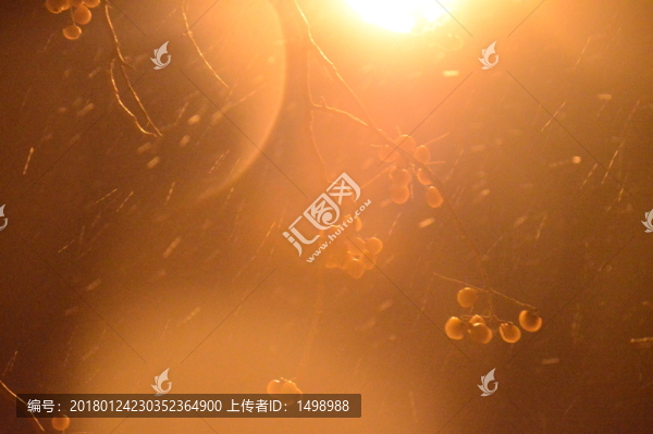 雪夜下的路燈