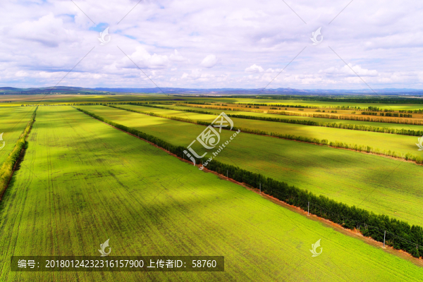 農(nóng)田風(fēng)景,航拍