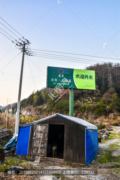 養(yǎng)蜂板房