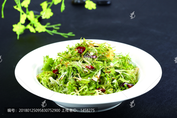 爽口苦菊