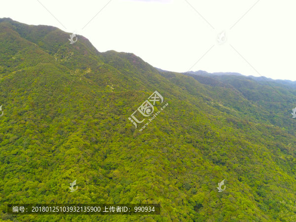 高山