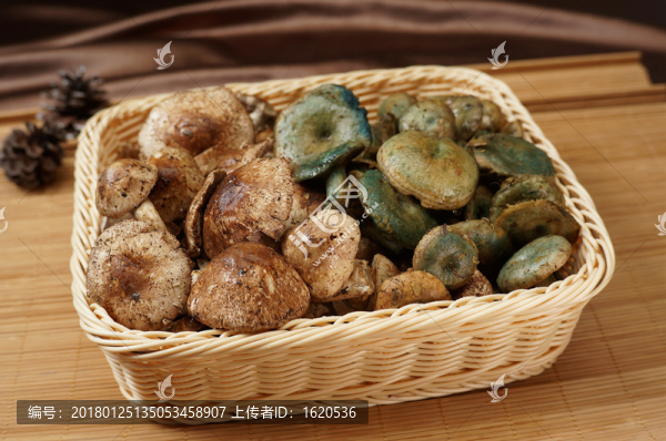 野菌