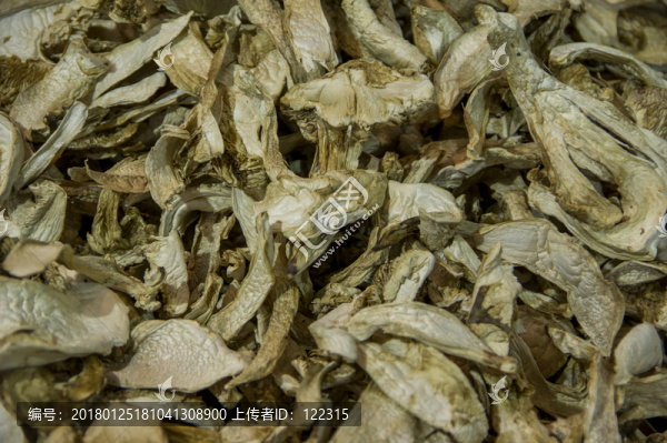 野生松茸