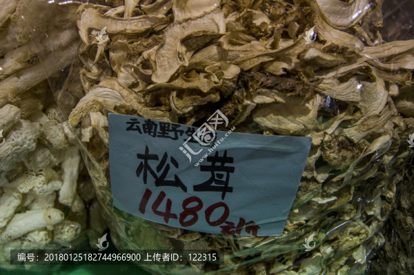 松茸,標(biāo)本及價格參考