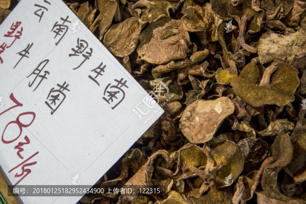 牛肝菌,標(biāo)本及價(jià)格參考