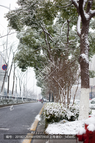 人行道上雪