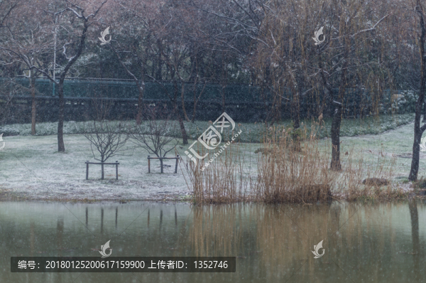 下雪的湖邊