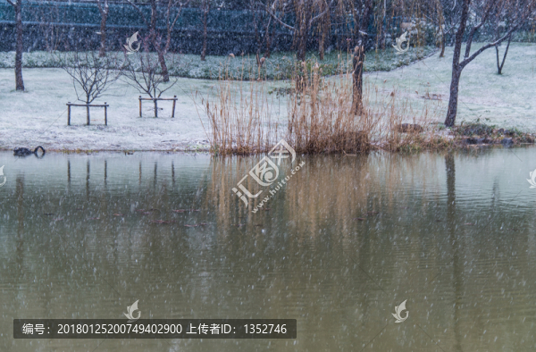 湖邊雪景