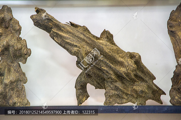 沉香木