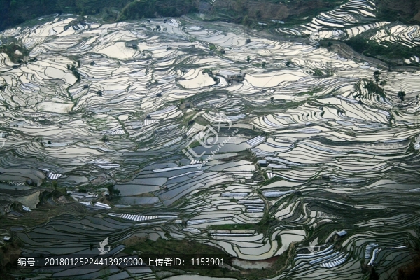云南梯田