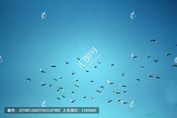 天空