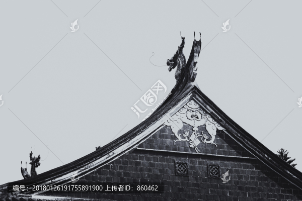 黑白燕尾脊