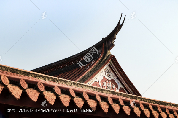 燕尾脊