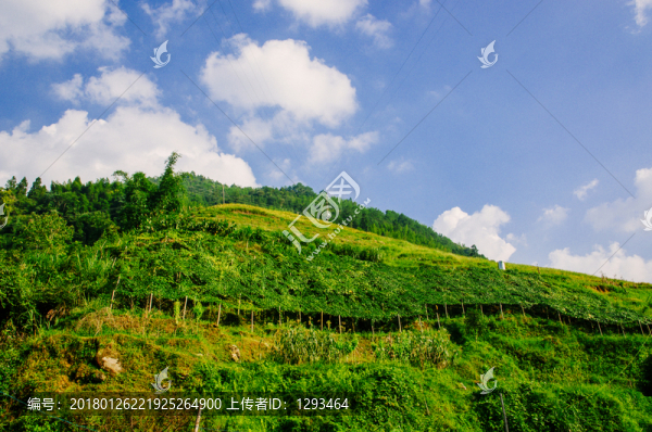 山嶺風(fēng)光