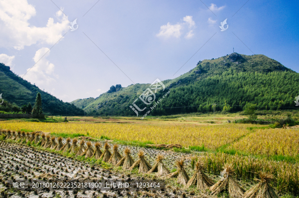 田園秋色