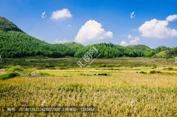 田園秋色