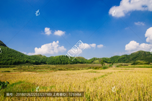 田園秋色