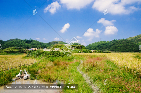 山水田園