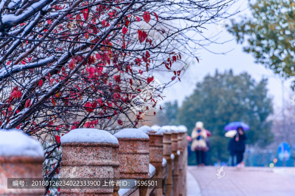 城市雪景
