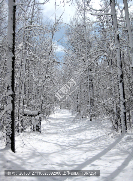 冰天雪地