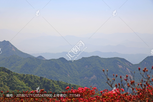 龜山杜鵑花海