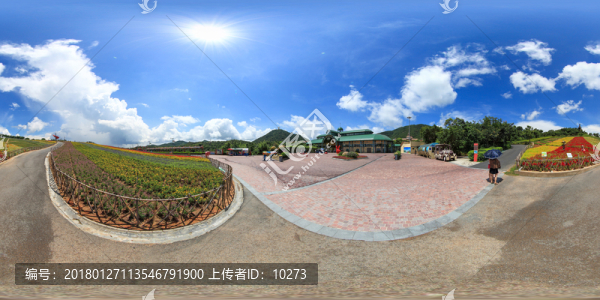深圳東部華僑城茶溪谷