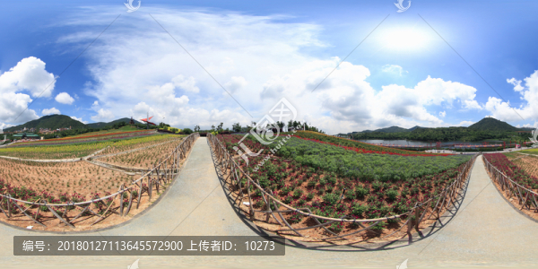 深圳東部華僑城茶溪谷