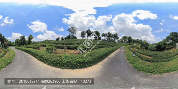深圳東部華僑城茶溪谷