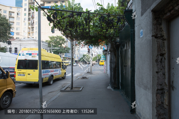 格魯吉亞,前蘇聯(lián),高加索,獨(dú)聯(lián)