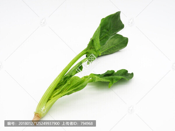 菠菜