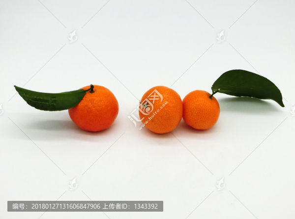砂糖橘