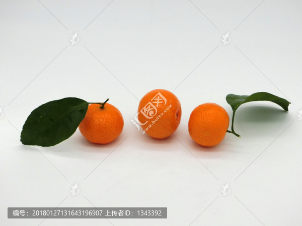 砂糖橘