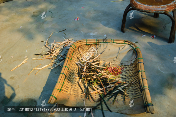 簸箕里的豆角