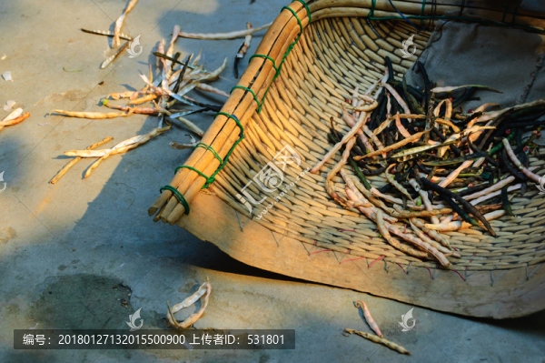 簸箕里的豆角