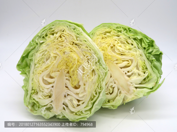 卷心菜
