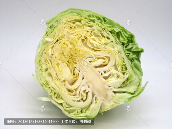 圓白菜
