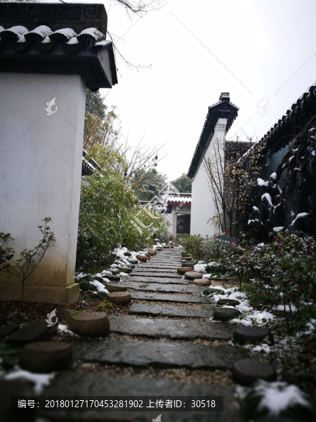 江南的雪