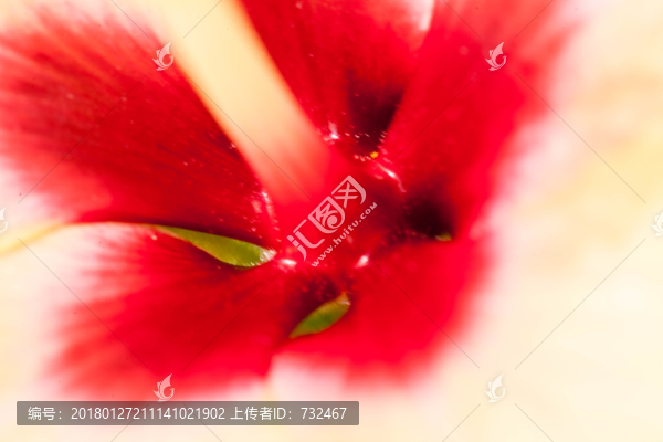 扶?；ㄌ貙? title=