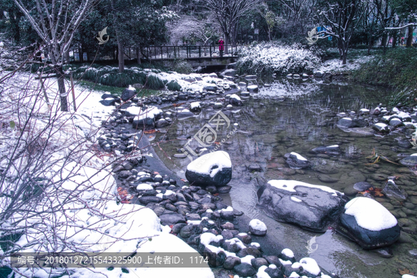 雪后的綠地