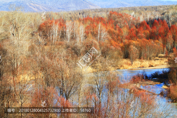 冰封河流紅柳景觀