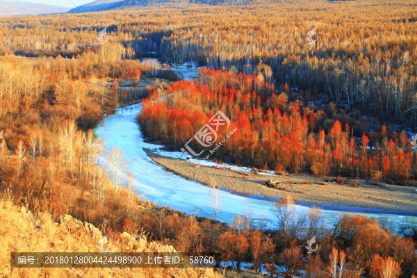 冰封河流,山林紅柳