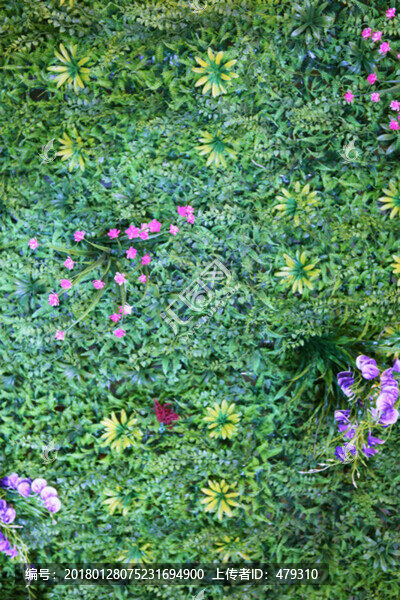 花墻,植物墻,裝飾