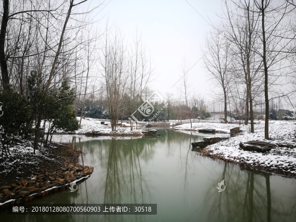 江南的雪