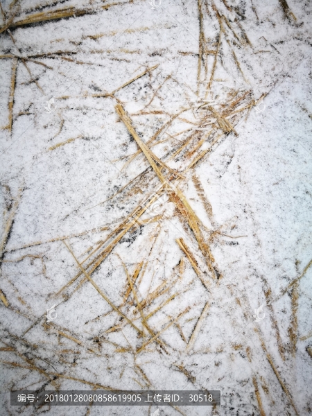 江南的雪