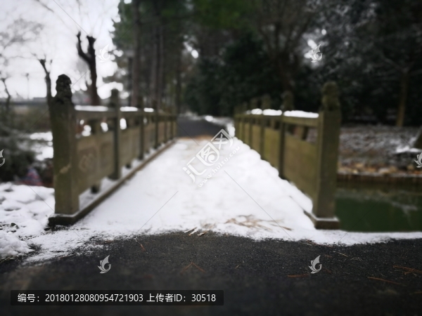 江南的雪