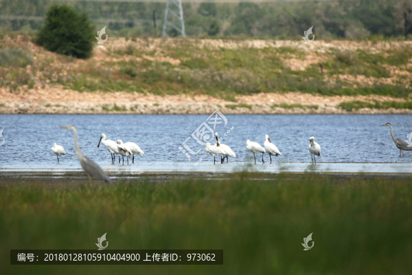 和平相處
