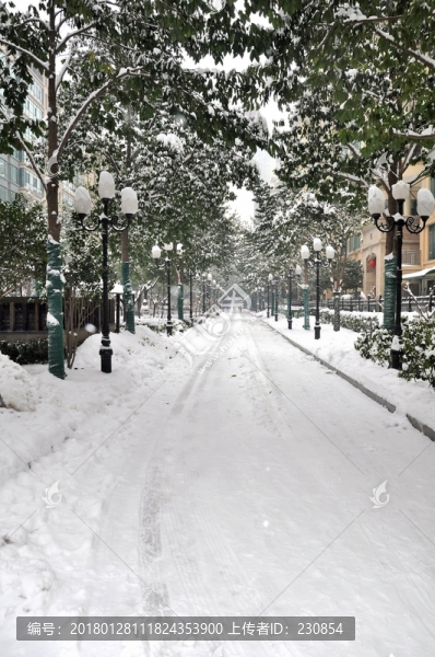小區(qū)道路,雪景
