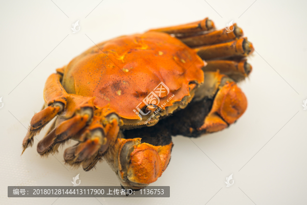 熟螃蟹